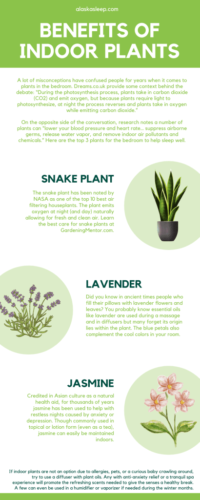 Indoor Plants and Their Effect on Your Sleep - Alaska Sleep Clinic